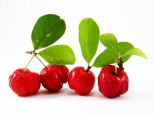 acerola trešnja